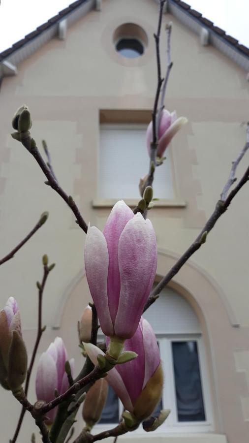 Le Gite Du Magnolia Willerval Dış mekan fotoğraf